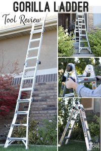 gorilla 18 ft ladder